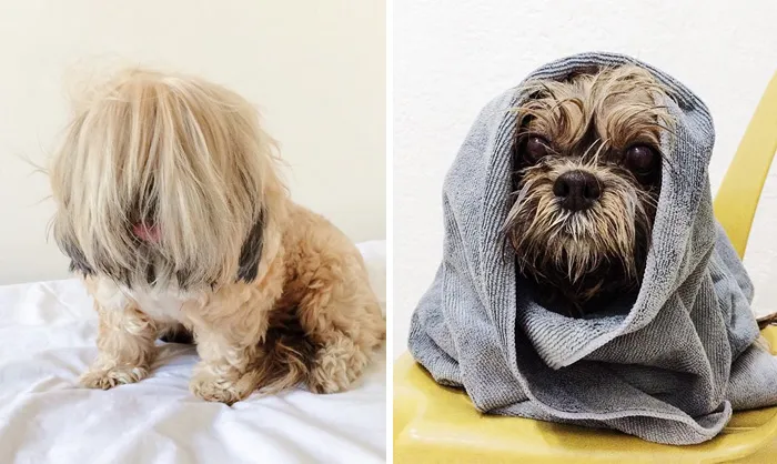 Before Vs. After Bath