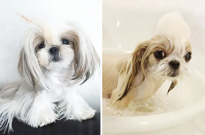 Before Vs. After Bath
