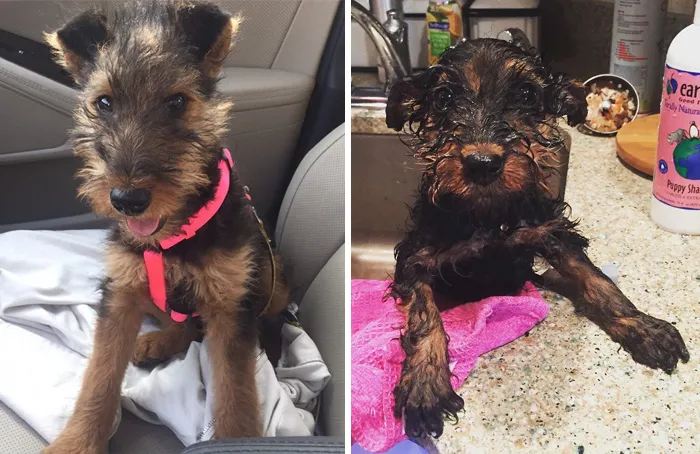 Before Vs. After Bath