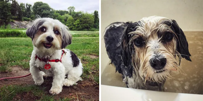 Before Vs. After Bath