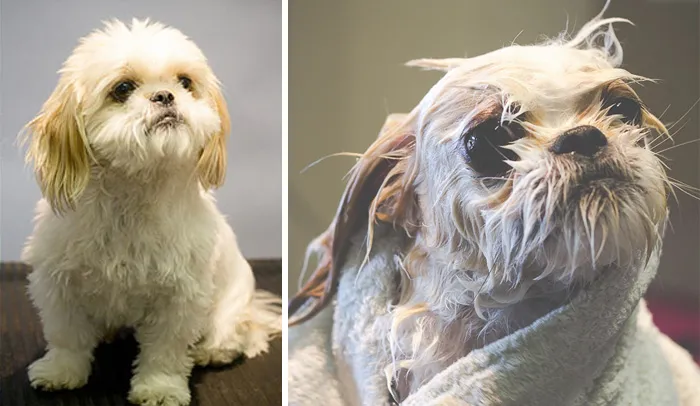 Before Vs. After Bath
