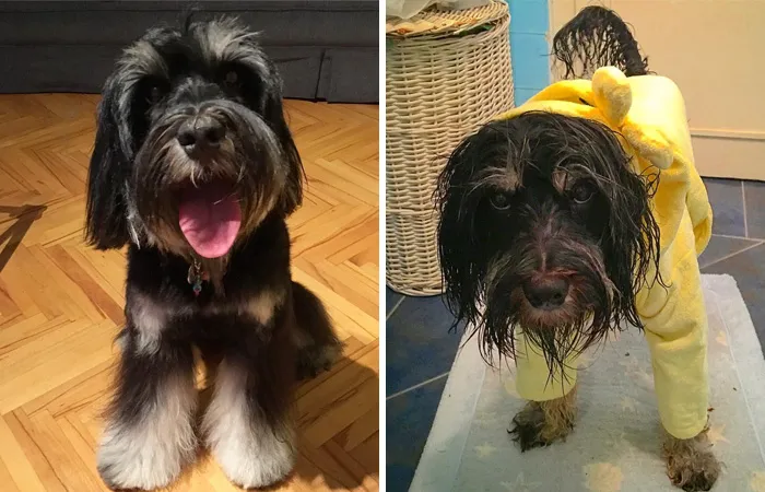 Before Vs. After Bath