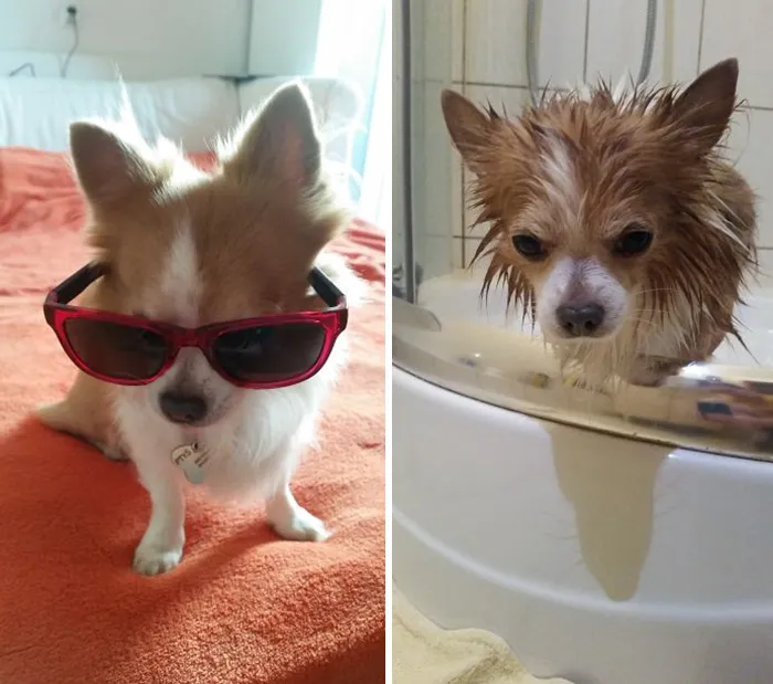 Before Vs. After Bath