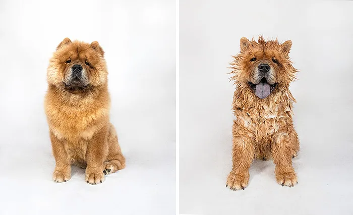 Before Vs. After Bath