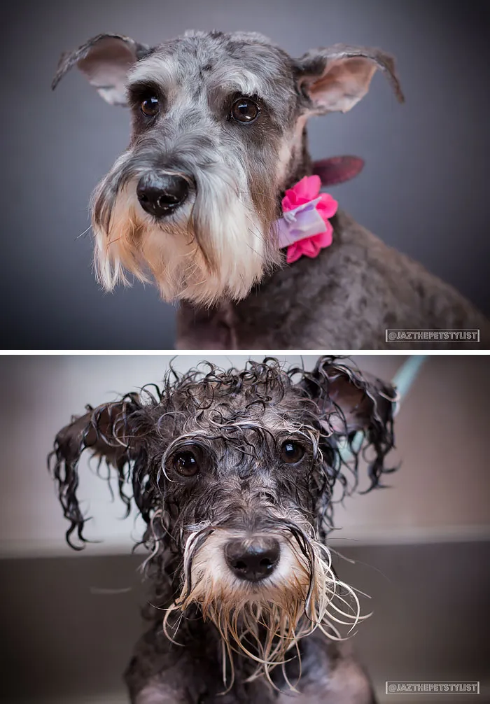 Before Vs. After Bath