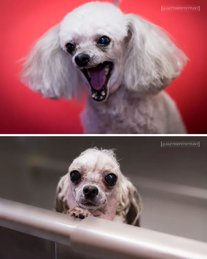 Before Vs. After Bath
