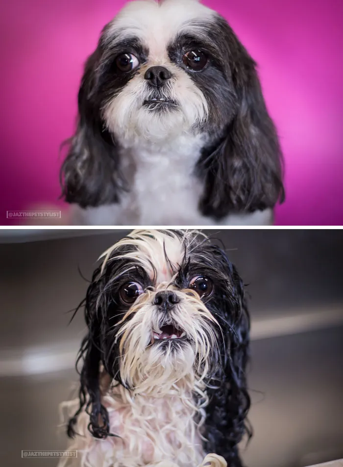 Before Vs. After Bath