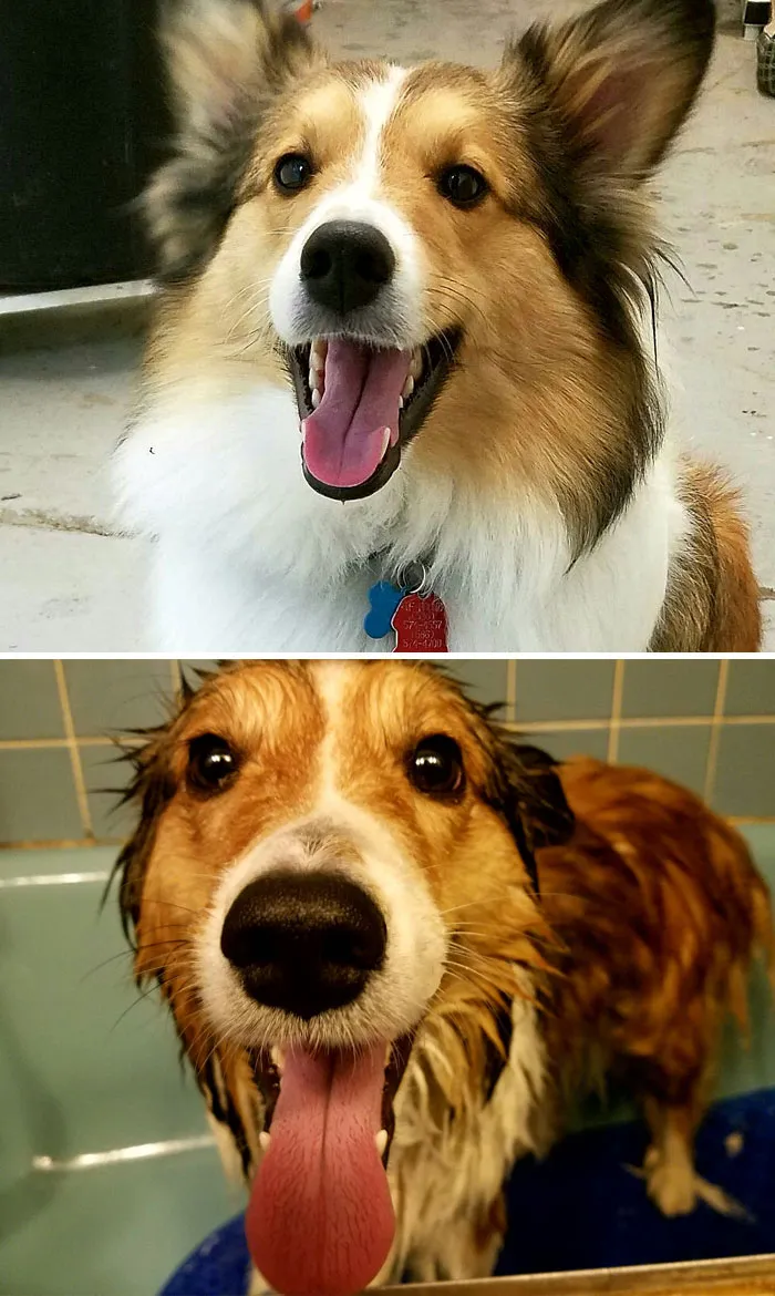 Before Vs. After Bath