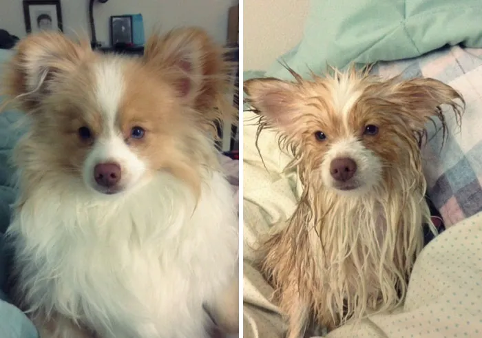Before Vs. After Bath
