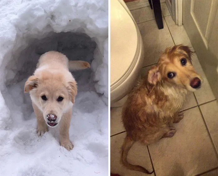 Before Vs. After Bath