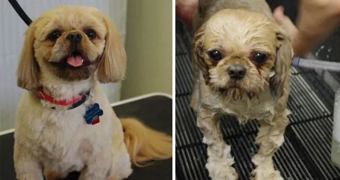 Before Vs. After Bath
