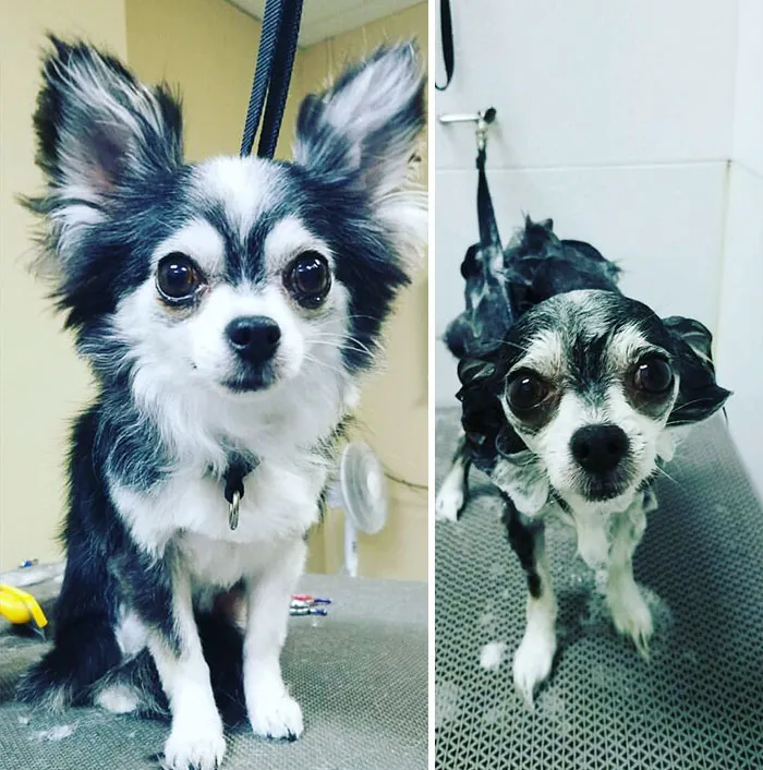 Before Vs. After Bath