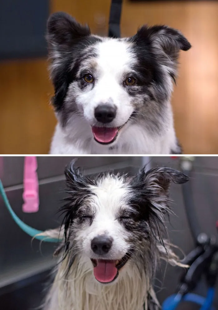 Before Vs. After Bath