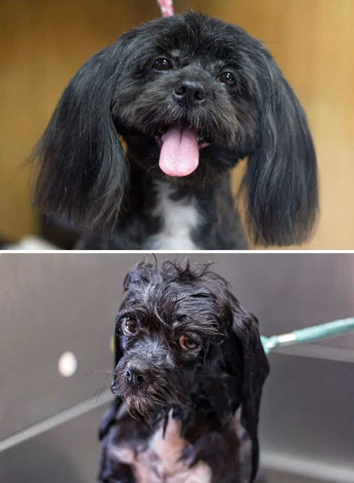 Before Vs. After Bath
