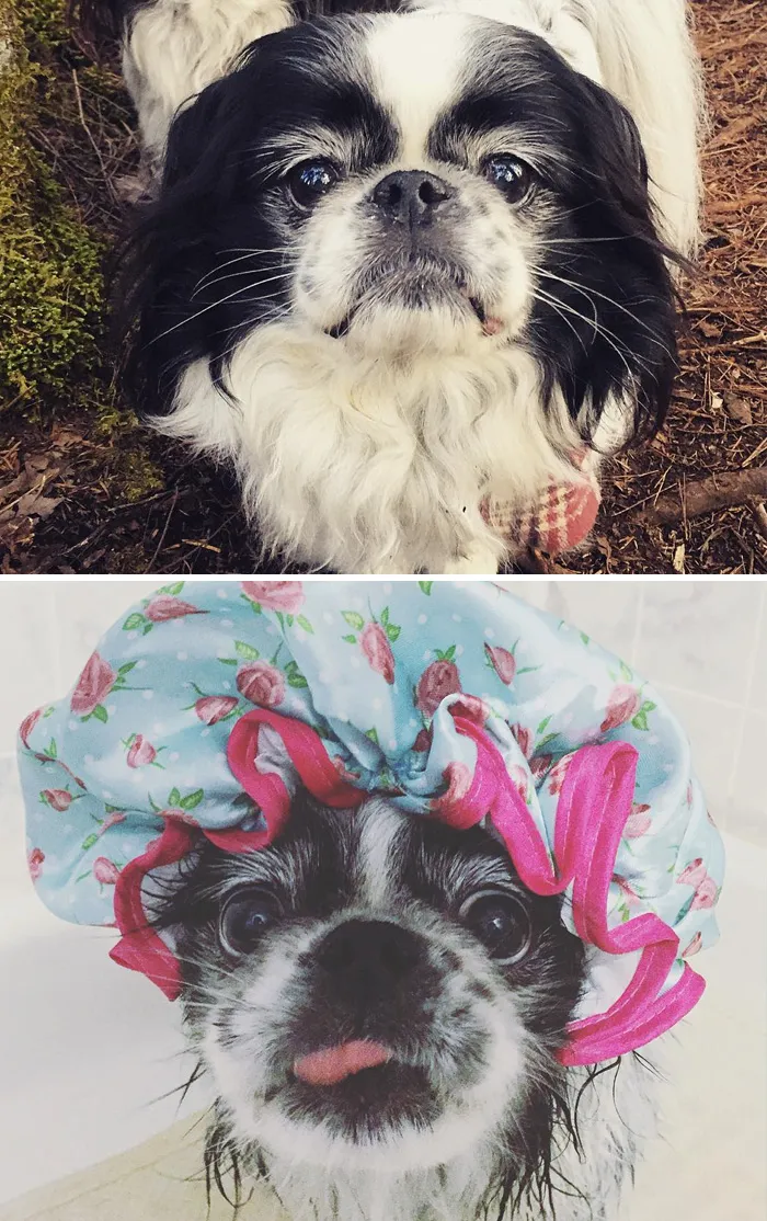 Before Vs. After Bath