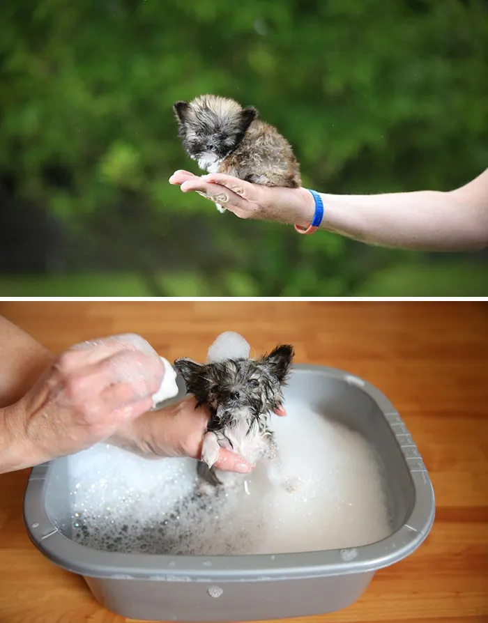 Before Vs. After Bath