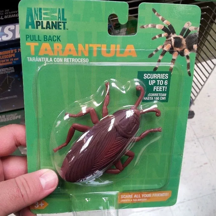 Toy packaging mistake showing a cockroach labeled as a tarantula.