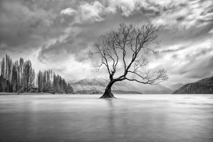 11 Amazing Black And White Photos Proving That Colour Is Not Always That Important