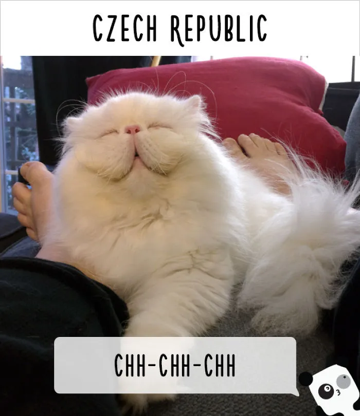 How People Call Cats In Different Countries