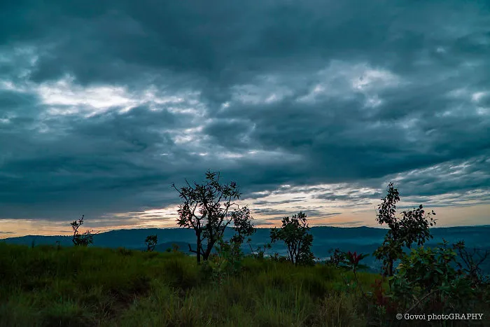 Kakamega Forest