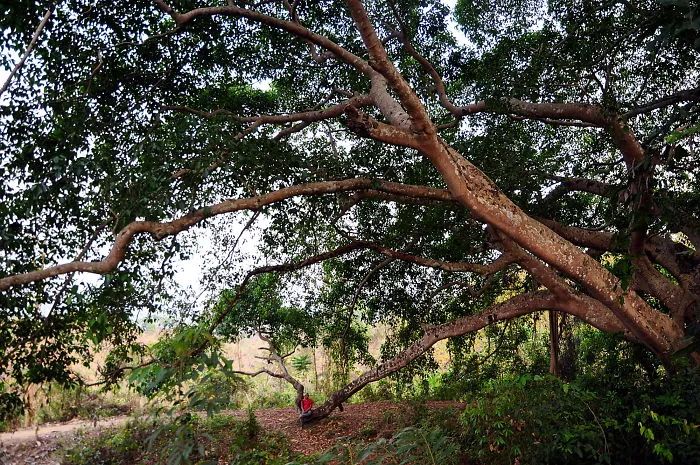 Amazing Khagrachori, A Beautiful Place Of Bangladesh