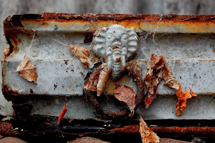 Shades Of Rust