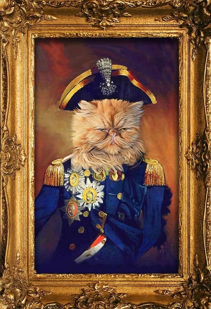 Lord Nelson Furball