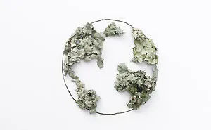 100 Days Of Tiny Things: I Find Small Objects Around Me And Turn Them Into Art