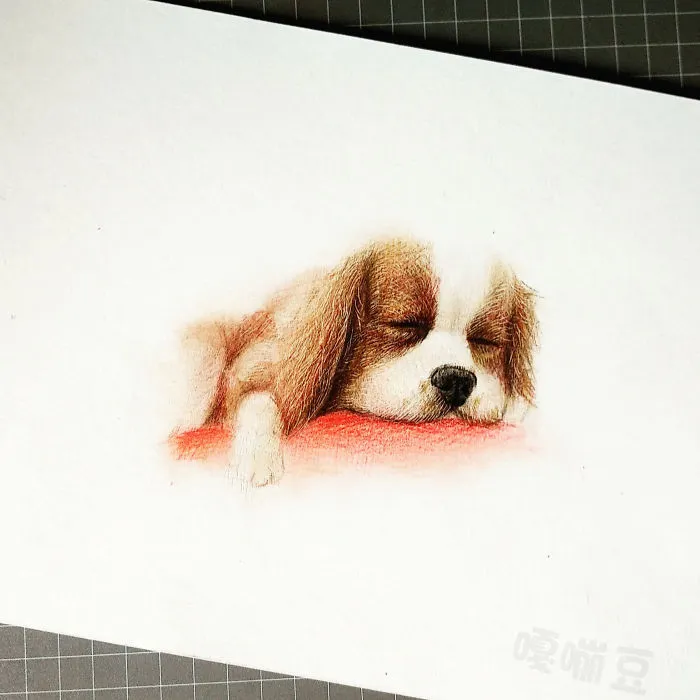 I Draw Furry Adorable Animals To Cure Unhappiness