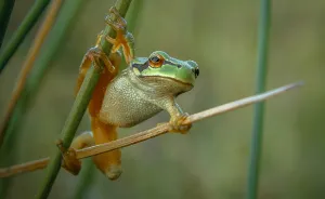I Spend My Days Capturing The Raw Beauty Of Nature