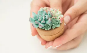 I Create Succulent And Flower Ring Boxes To Help People Get Married