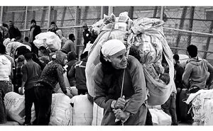 My Photographs Of The Lady Mules Of Morocco