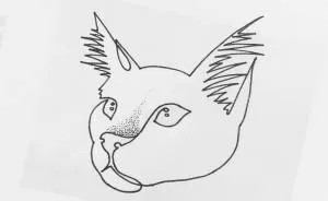 Minimal Art: Drawings Made With Just One Line