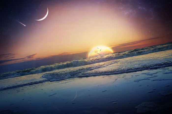 Paradise