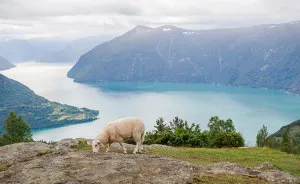 I Quit My Job To Travel The World And Found That No Other Country Compares To Norway