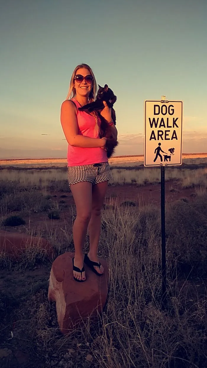Cat Lives Matter!