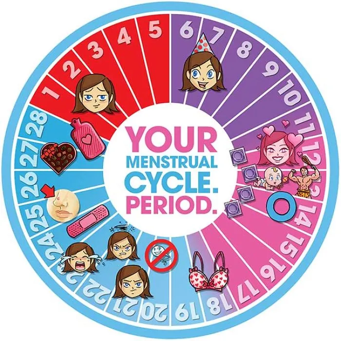 The Monthly Menstrual Cycle: Hormones