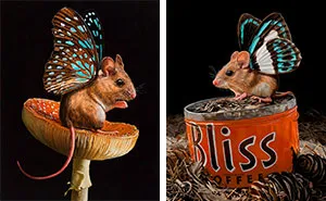 I Painted A New Species I Wish Existed - Meet The Mouserflies