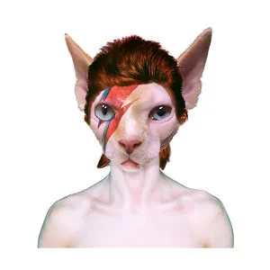 Sansfur