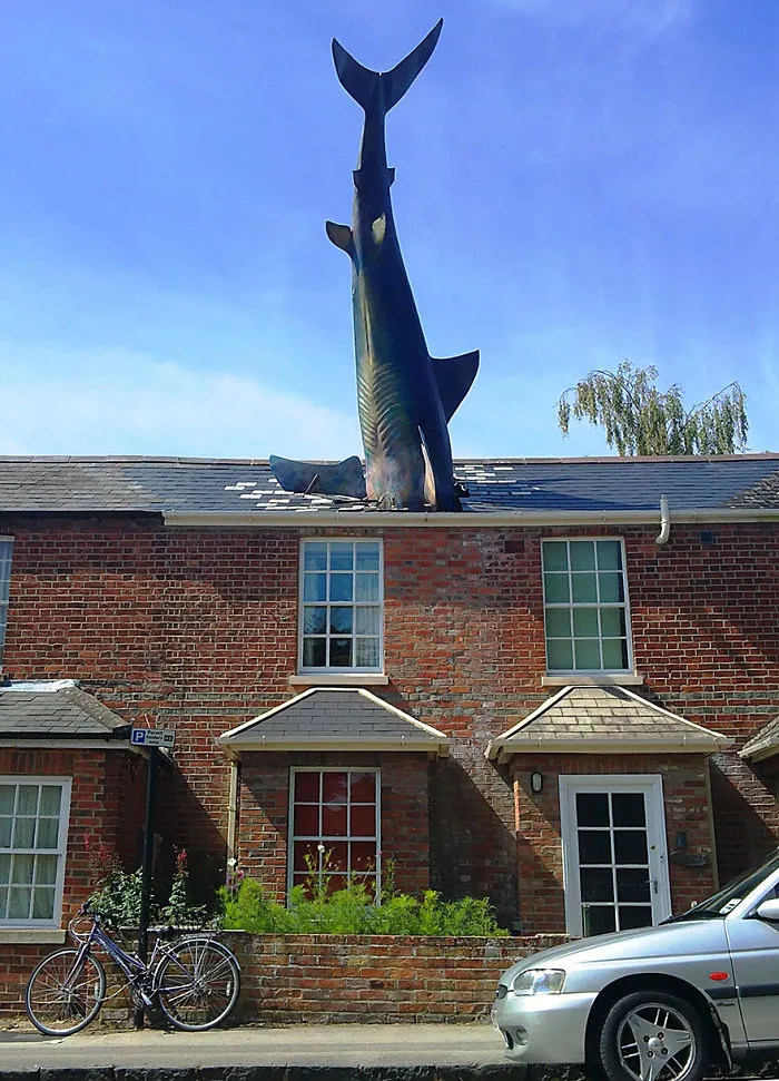 The Shark, Oxford, Uk