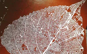 Paper Cut Into Leaf Map Of Amsterdam By Nils Westergard