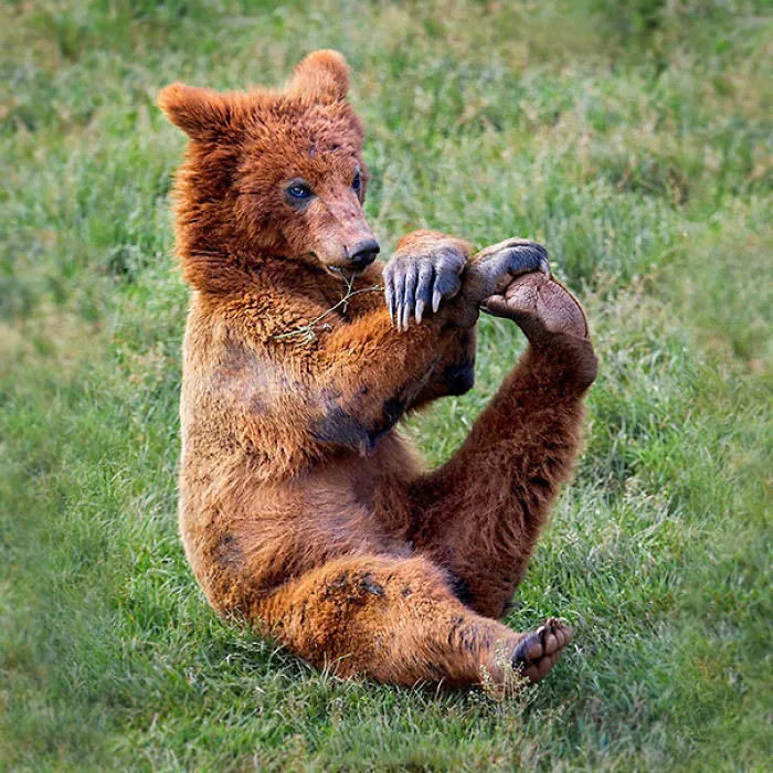 Maybe Some Pilates?