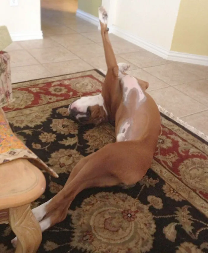 He Will Hold This Position For Minutes At A Time