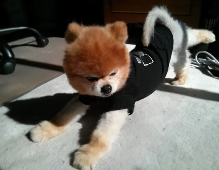 My Hairy Yoga Instructor