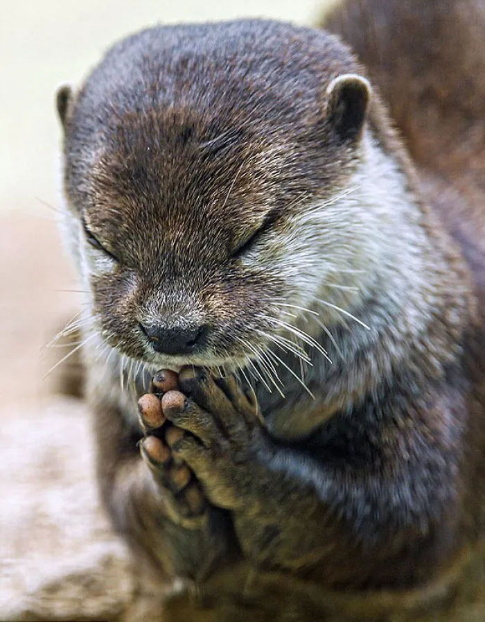 Namaste