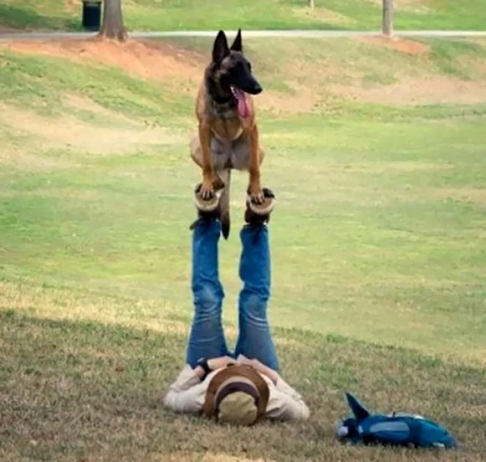 Dog Acro Yoga