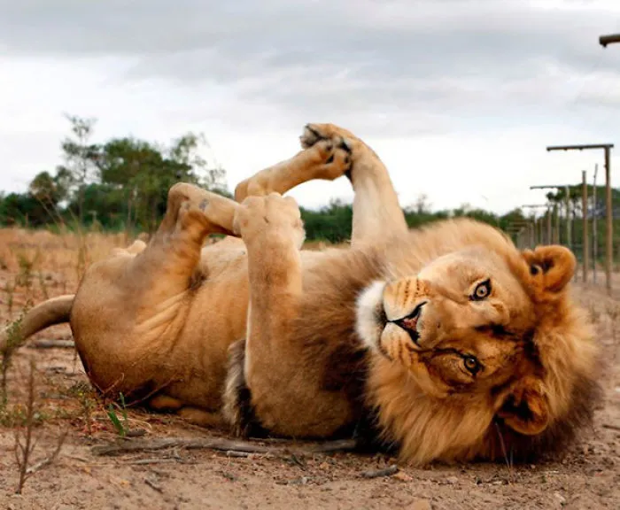 Yoga Is For Everybody