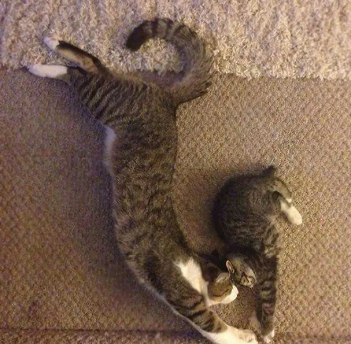 Yoga Bond