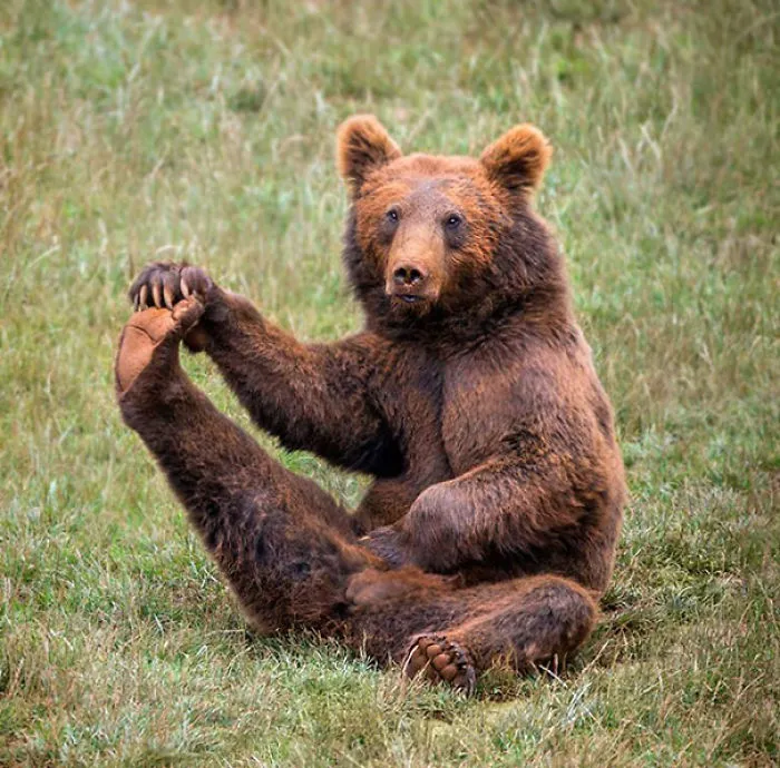 Have You Done Your Morning Stretches?