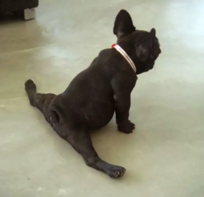 Some Serious Stretching
